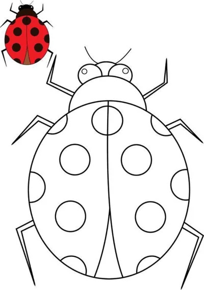 A large ladybug with big round spots and six legs, with a small colored ladybug shown in the corner.