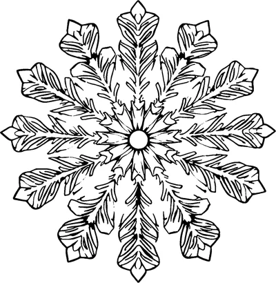 A large snowflake mandala with feathery arms radiating from a small round center.