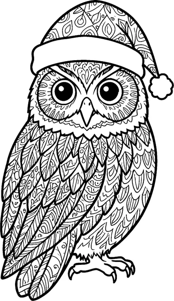 An owl with big round eyes wears a patterned Santa hat, its feathers filled with leaf shapes, swirls and stripes.