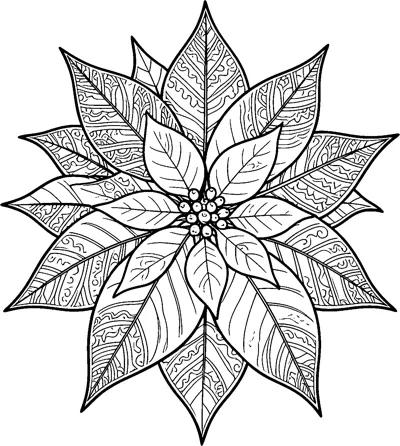 A large poinsettia seen close up, with layers of pointed leaves filled with stripes and patterns around a cluster of buds.