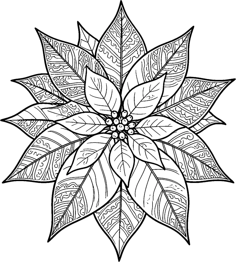A large poinsettia seen close up, with layers of pointed leaves filled with stripes and patterns around a cluster of buds.