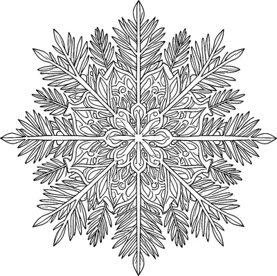 A large star-shaped mandala of feathery pine branches spreading from a lacy, swirled centre like a giant snowflake.