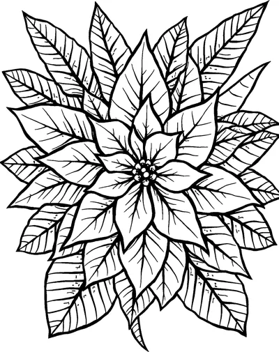 A large poinsettia flower with pointed petals and a beaded center, surrounded by many veined leaves.