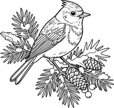 A robin with a small crest perched on a snowy pine branch beside pinecones and berries.