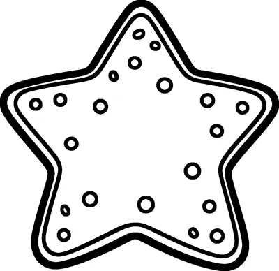 A star-shaped biscuit with an icing border and small round sprinkles.