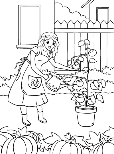 A girl waters a potted tomato plant near pumpkins and a wooden fence.