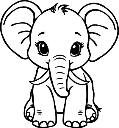 A baby elephant with huge round ears, tiny tusks, a hair tuft and a long curled trunk.