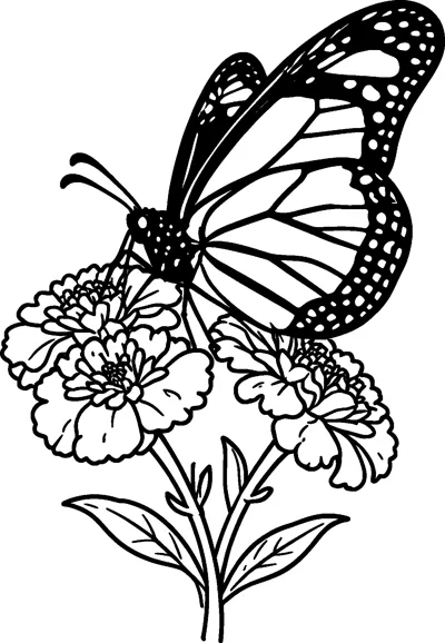 A monarch butterfly with spotted wing edges perched on top of three ruffled marigold flowers with leafy stems.