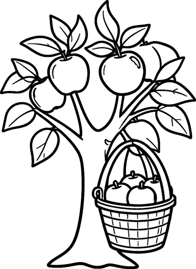 An apple tree with large leaves and apples on its branches, and a basket full of apples hanging from one branch.
