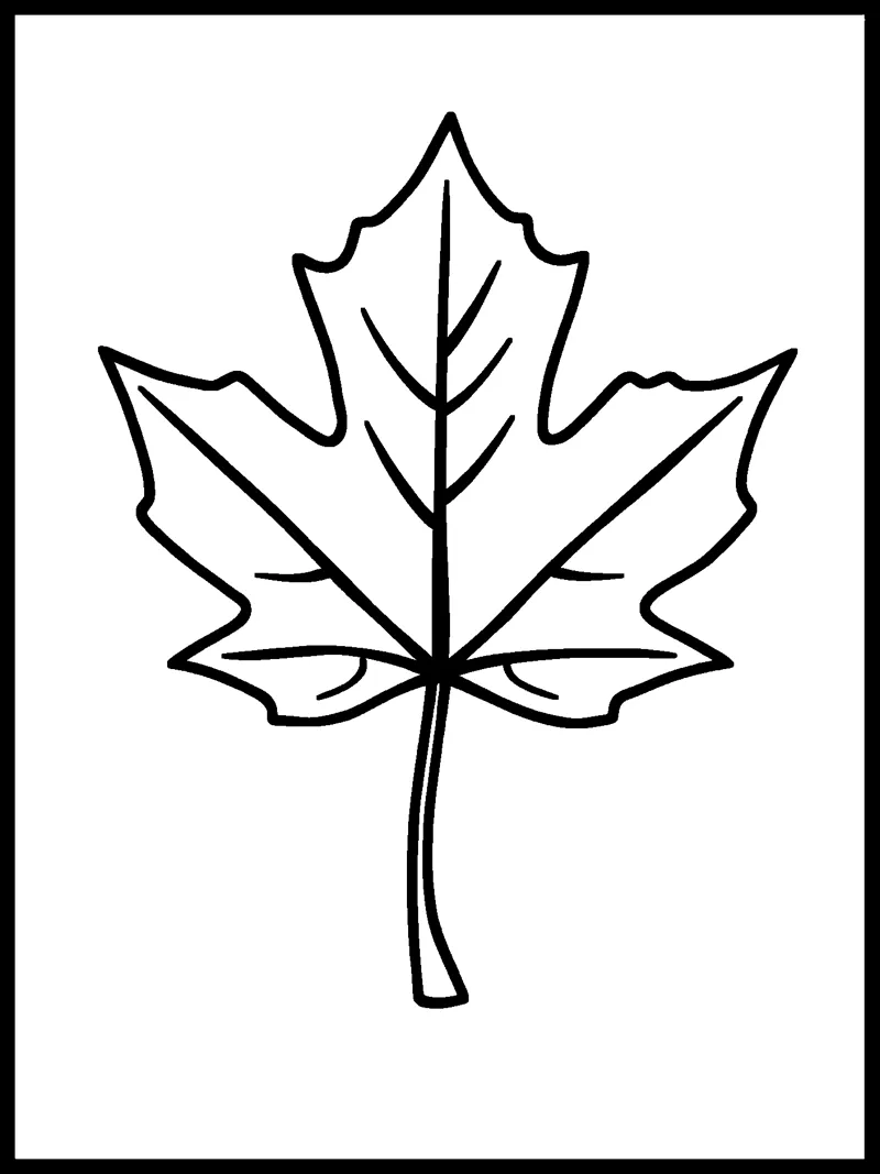 A single large maple leaf with a curved stem and simple veins inside a rectangle border.