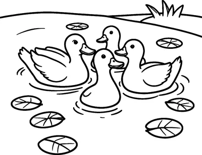 Four ducks swim close together on a calm pond, with round floating leaves on the water and a grassy bank behind.