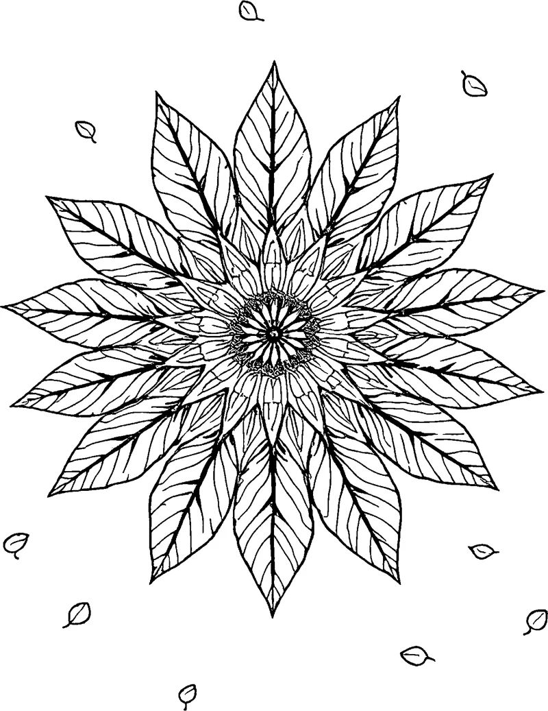 A round mandala of layered pointed leaves with fine veins around a detailed center.