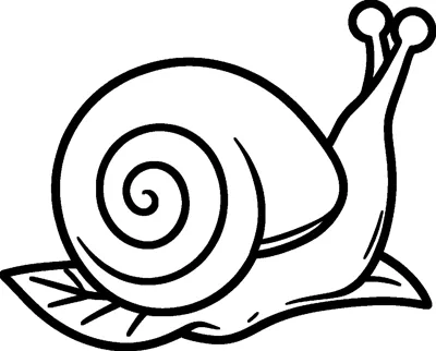 A snail with a big round spiral shell and two long eye stalks, creeping along a single leaf.