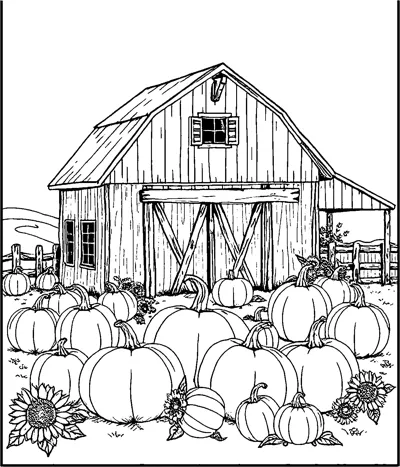 A wooden barn with a fence behind a field crowded with pumpkins and sunflowers.