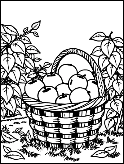 A woven basket piled with apples sits on the grass between leafy branches.