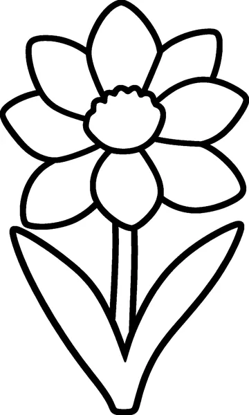 A simple daffodil with six pointed petals around a ruffled trumpet, on a stem between two long leaves.