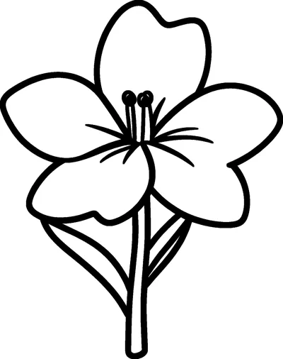 An open lily flower with five wide petals, a few thin stamens in the middle and two leaves on its stem.