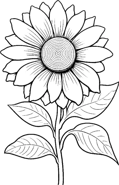 One large sunflower with a dotted centre stands on a straight stem with two big leaves.