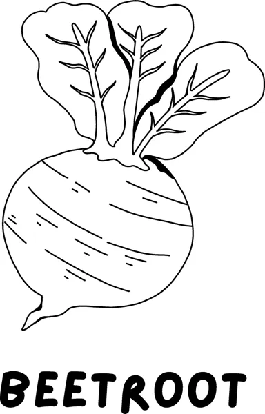 A round beetroot with big leaves above the word BEETROOT in bold capitals.