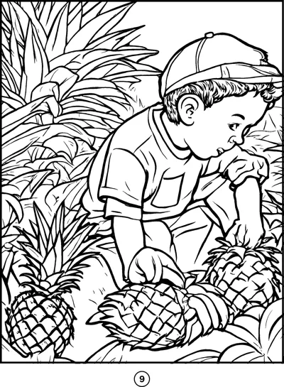 A boy wearing a cap bends over to pick pineapples growing among spiky leaves.