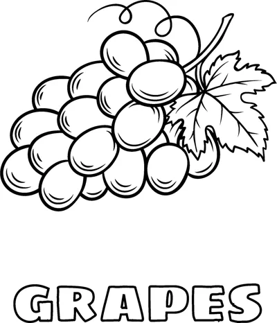 A bunch of grapes with a vine leaf and tendrils above the word GRAPES in hollow letters.