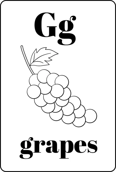 A bunch of grapes with a leaf between the letters Gg and the word grapes.
