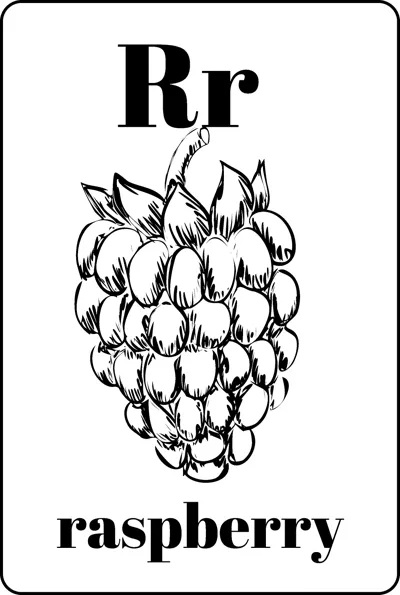 A single large raspberry with leaves between the letters Rr and the word raspberry.