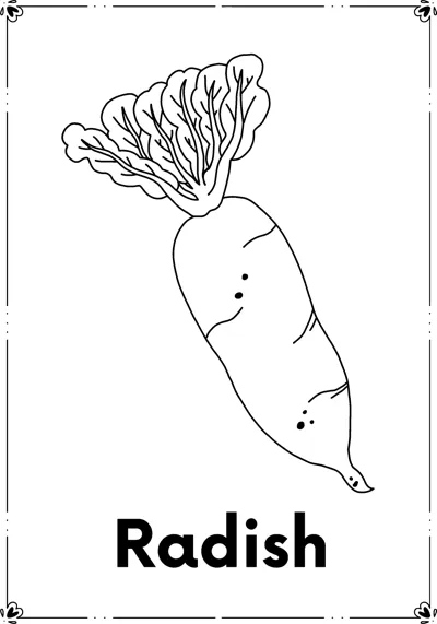 A long radish root with leafy top above the word Radish.