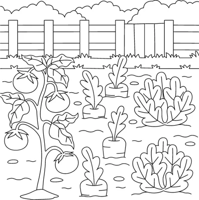 A tomato plant and rows of leafy vegetables grow in a garden in front of a wooden fence.