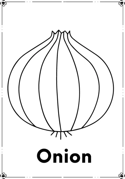 A whole onion with vertical lines and a pointed top above the word Onion.