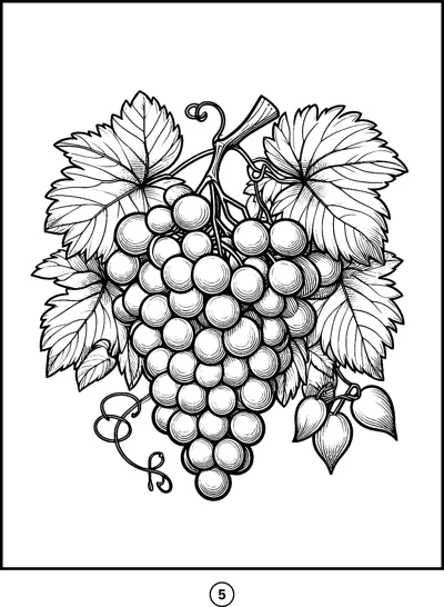 A large bunch of grapes hangs from a vine with big veined leaves and curling tendrils.