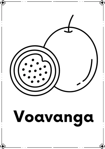 A round voavanga fruit beside a cut half with seeds, above the word Voavanga.