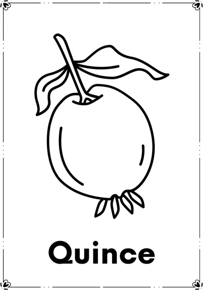 A round quince with a long stem and leaf above the word Quince.