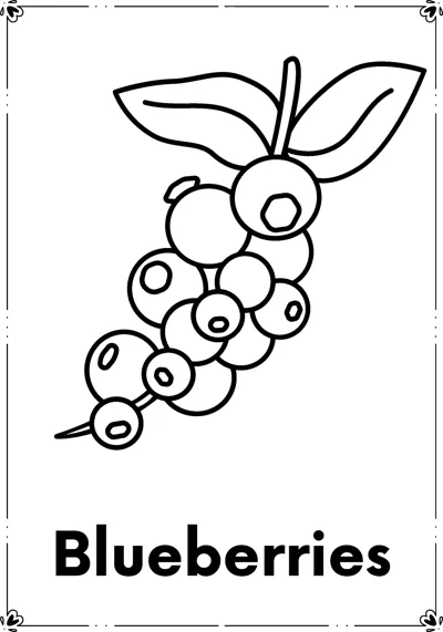 A sprig of blueberries with two leaves above the word Blueberries.