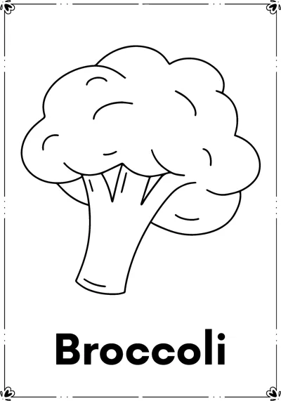 A head of broccoli with a thick stalk above the word Broccoli.