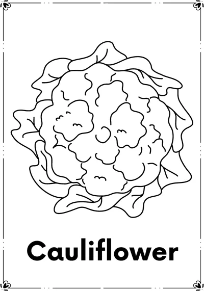 A round cauliflower surrounded by leaves above the word Cauliflower.