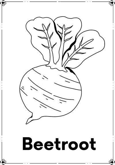 A round beetroot with large leaves above the word Beetroot.