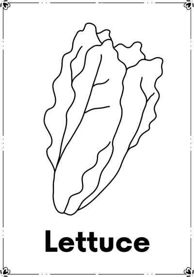 A tall head of lettuce with wavy leaves above the word Lettuce.