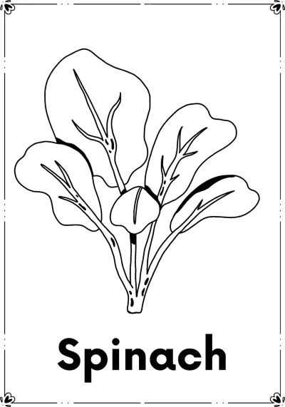 A bunch of spinach leaves on stems above the word Spinach.