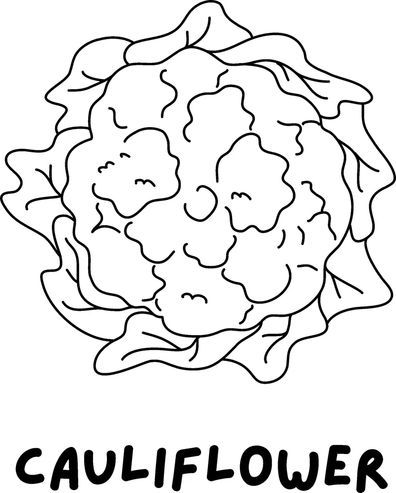 A cauliflower head wrapped in leaves above the word CAULIFLOWER in bold capitals.