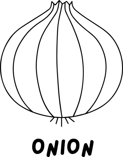 A whole onion with vertical lines above the word ONION in bold capitals.