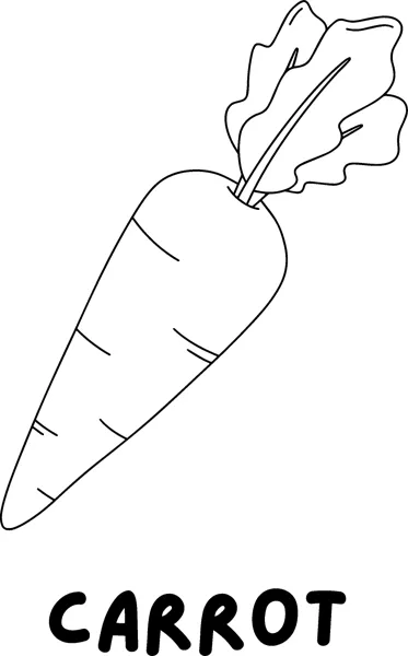 A carrot with leafy greens above the word CARROT in bold capitals.
