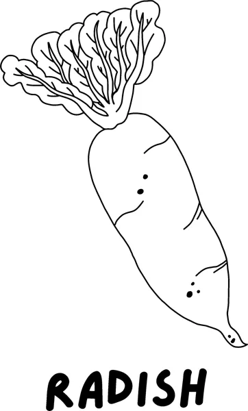 A long radish with a leafy top above the word RADISH in bold capitals.
