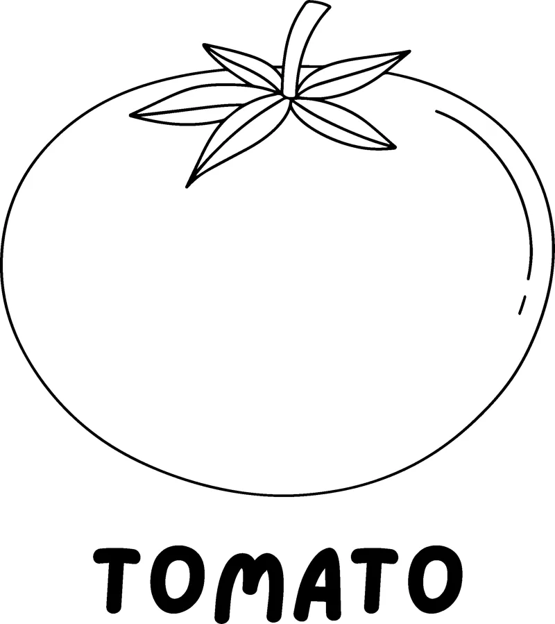 A round tomato with a leafy stem above the word TOMATO in bold capitals.