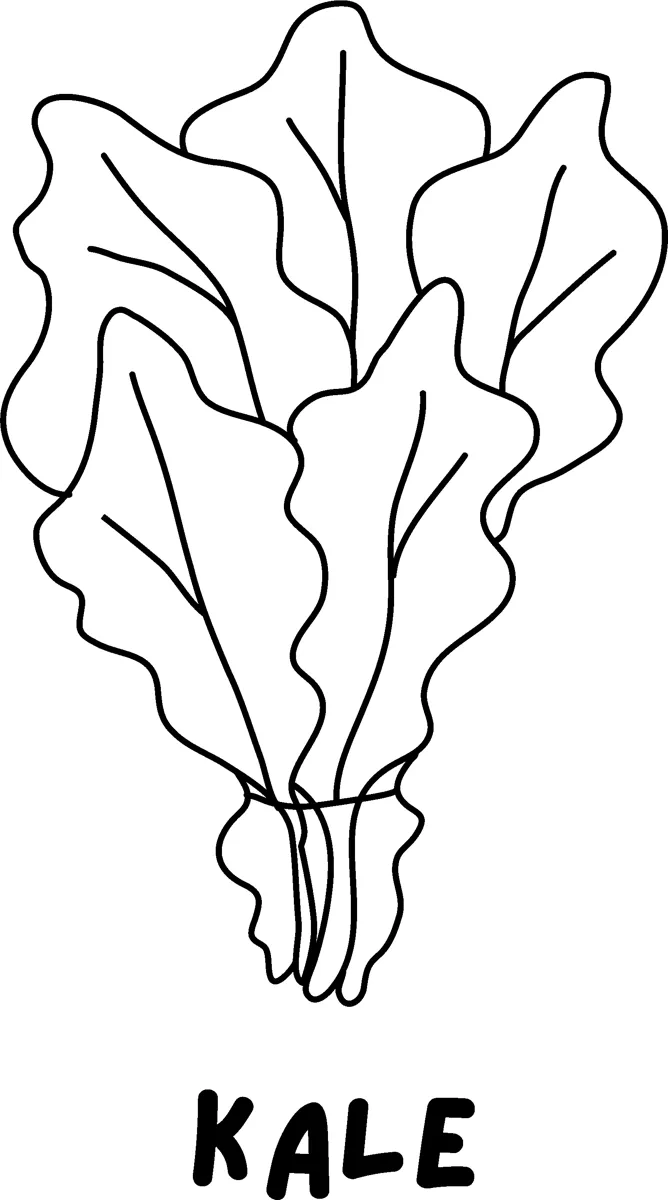 A bunch of curly kale leaves above the word KALE in bold capitals.