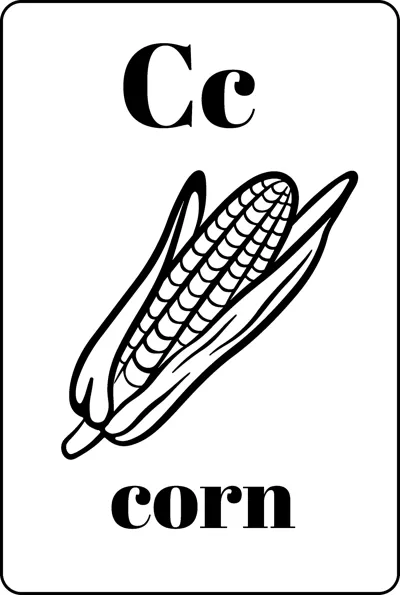 Two ears of corn with husks between the letters Cc and the word corn.