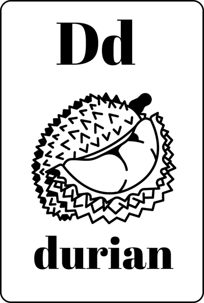 A spiky durian with a cut section between the letters Dd and the word durian.