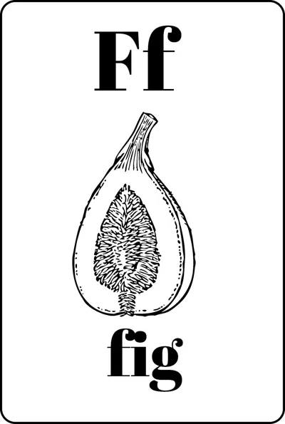 A halved fig showing its seeded centre between the letters Ff and the word fig.