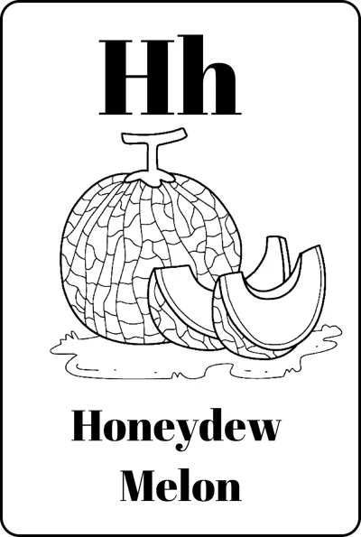 A netted honeydew melon with two cut slices between the letters Hh and the words Honeydew Melon.