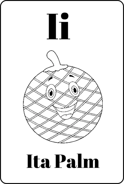 A round ita palm fruit with a smiling face and crosshatch skin between the letters Ii and Ita Palm.